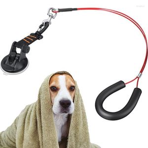 Collares para perros Correa de baño Succión fuerte Baño ajustable Suministros de ducha para mascotas Taza Aseo Recorte Cepillado Su facilidad