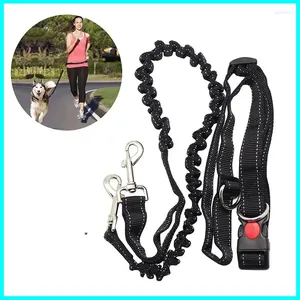 Colliers pour chiens, ceinture en plomb, harnais de marche élastique, laisse pour chiens, taille de course, Jogging Fpr, mains libres pour animaux de compagnie, extérieur