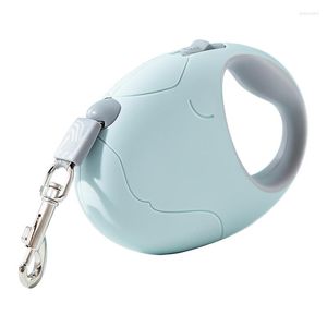 Colliers pour chiens Ceinture Petite corde Fournitures Sangle automatique Moyenne Perte d'animaux domestiques Rétractable Prévention de la marche Laisse Chiens pour la formation de laisses