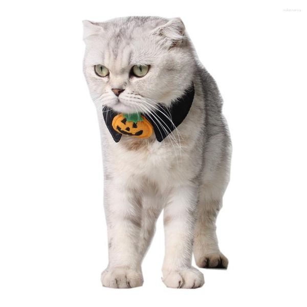 Colliers de chien collier de citrouille noir fournitures de cravate de chat pour animaux de compagnie pour la fête de la vie quotidienne Halloween