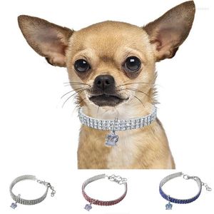 Hondenkragen bling kraag strass hanger met kroon puppy chihuahua huisdier honden riem voor kleine middelgrote accessoires