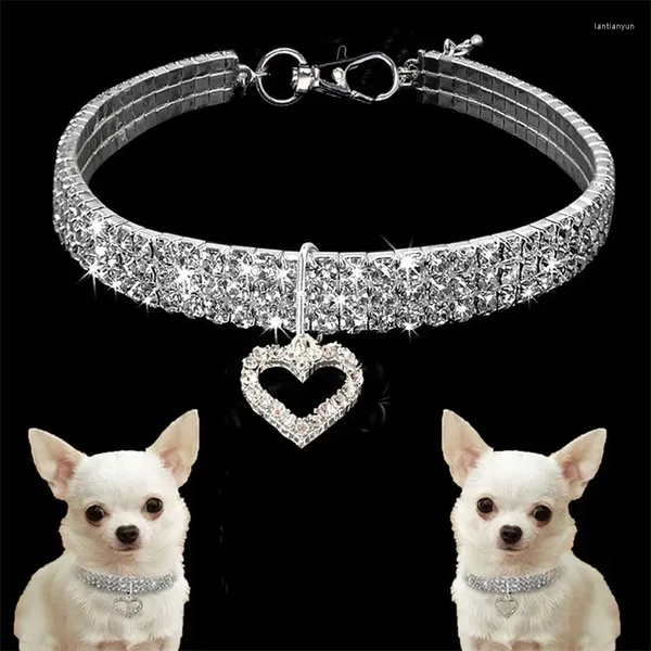 Colliers de chien bling strass de compagnie Crystal Collier de diamant pour chiens