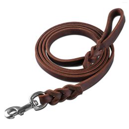Halsbanden BOUSSAC lederen lijn 6,6 voet gevlochten touw voor huisdieren Zwaar uitgevoerd echt lood Sterke metalen draaibare clip