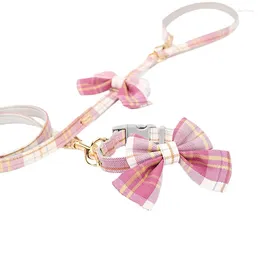 Colliers pour chiens, nœud, petit et moyen collier, ensemble de laisse, Schnauzer Yorkshire Terrier, accessoires pour chiots, chats mignons