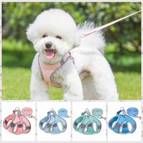 Colliers de chien Houte-harnais Gitre Reflectif Réflet de chiens Cat Cat Walking Leads Set Polyester Puppy Chest Strap Outdoor