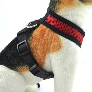 Colliers pour chiens en maille respirante, ensemble de laisse de marche, harnais et chiot réglable pour chiens de petite et moyenne taille du Yorkshire