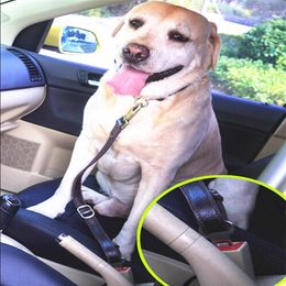 Hondenkragen Auto Veiligheidszit Grote riem leidt Pet Leash Leow Lederen Leather Travel Vehicle Restraint Harness Auto Traction Rope for Big Dogs