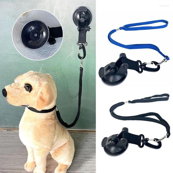 Colliers pour chiens et chats, fixateur de bain, cisaille et coupe des animaux de compagnie, corde de Traction, séchage, Table de beauté, harnais, fournitures de retenue