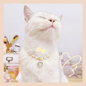 Colliers de chien et de chat, collier de perles, bijoux pour animaux de compagnie, produits en diamant d'amour, accessoires cadeaux d'anniversaire