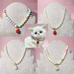 Colliers de chien collier de chat