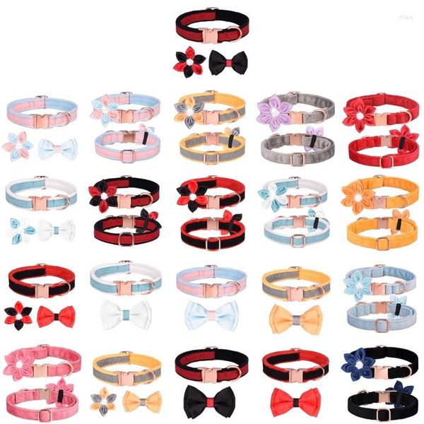 Colliers pour chiens collier de chat avec fleur élégante Bowknot Breakaway costume collier grande fille 40JA