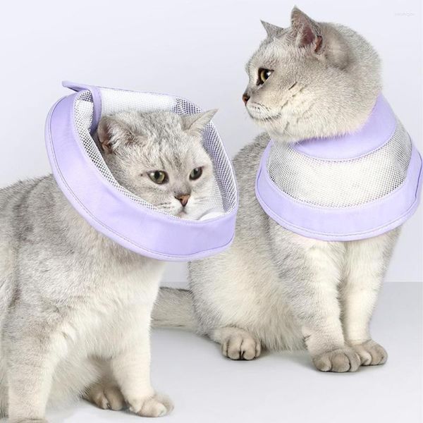 Colliers pour chiens et chats, cône pour arrêter de lécher les blessures, collier électronique réglable après pour chats et chatons (M)