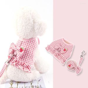 Colliers pour chiens harnais et laisse pour chat avec fleur dentelle gilet pour animaux de compagnie pour petits chiens respirant chiot marche formation accessoires Chihuahua