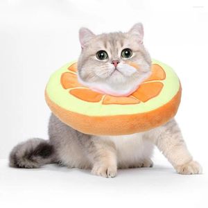 Colliers de chien Cat Small Recovery Collar Soft Raditable Cone Elizabethan pour animal de compagnie