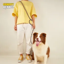 Colliers de chien tournage Kennel Réflexion Nylon Double Laux Pet Dogs Chain Traction Corde mène pour courir les mains libres grandes