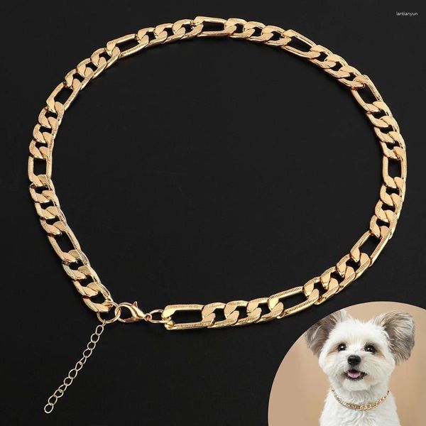 Colliers de chien collier collier or chat chiens chaines métalliques