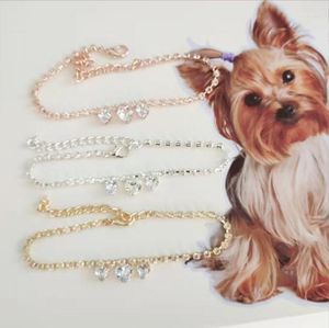 Colliers pour chiens chaîne lien collier princesse collier chat bijoux mignon chiot accessoires Chihuahua mariage trucs