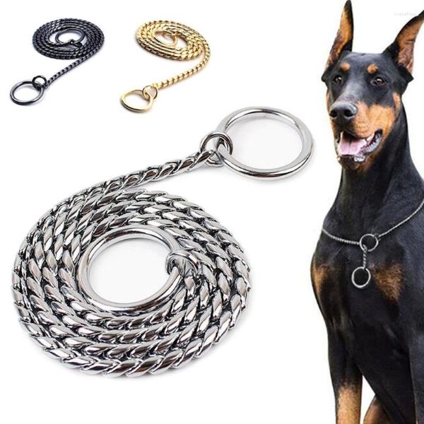 Colliers pour chiens chaînes métal starter pour petits moyens grands chiens Pet Pincher chaîne cuivre pince collier serpent