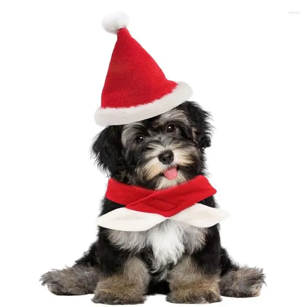 Colliers pour chiens, écharpe de noël avec chapeau de père noël, ensemble de fournitures de déguisement pour chiens et chats