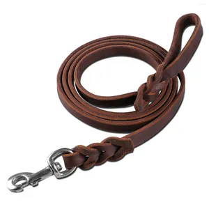 Colliers pour chiens à Clip pivotant, laisse tressée solide, en cuir pour animaux de compagnie, en métal véritable, corde de plomb lourde, pied de service 6.6