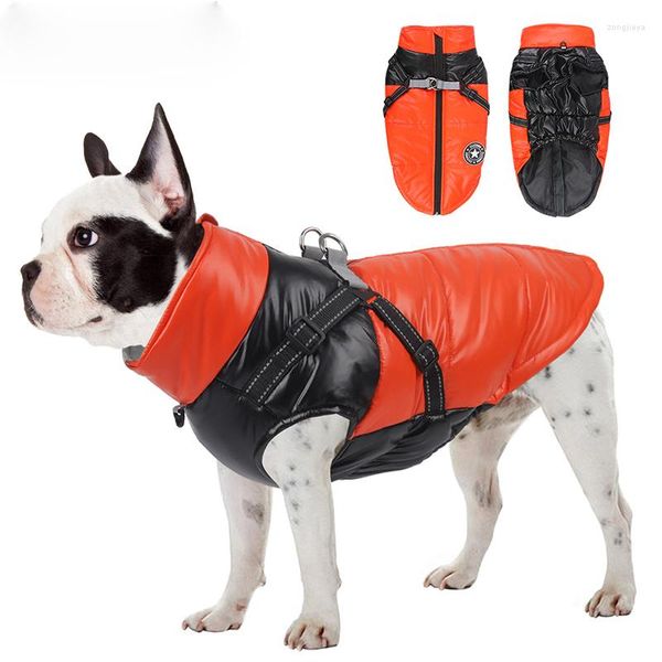 Collares para perros ropa de invierno cálido impermeable chaqueta para mascotas abrigo cachorro ropa de Navidad Sudadera con capucha perros pequeños medianos Chihuahua S-2XL