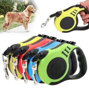 Colliers pour chiens, accessoires de collier, ras du cou, harnais, laisse à Roulette, rétractable automatique, Extension de plomb pour chat, chiot, marche, course à pied