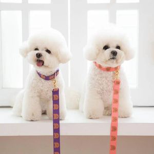 Collares para perros Collar ajustable para perros Cable de transporte mascotas cinturones de seguridad de coche cuerda de seguridad retráctil correa para mascotas tracción bonita