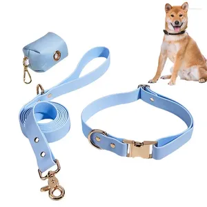 Colliers pour chiens, ensemble collier et laisse, Combo Portable assorti pour petits animaux, chiots, chiens