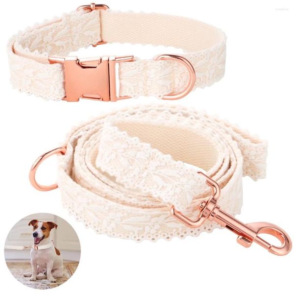 Colliers de chien collier et laisse chiot en dente