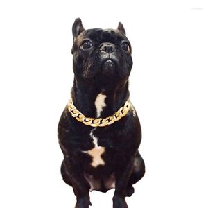 Colliers pour chiens collier chaîne en or pour petit moyen animal chat collier bijoux accessoires Teddy Bargo français Bully fournitures de luxe