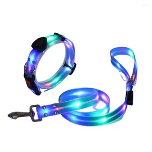 Collares para perros Collar Correa Luz constante USB Recargable LED Longitud ajustable 3 modos Noche para seguridad