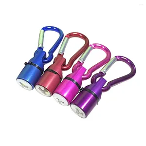 Colliers pour chiens, 4 pièces, lumières LED à clipser pour chat, lumière de sécurité avec mousqueton, breloque étanche pour chiens et chiots