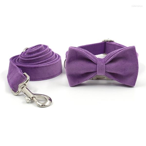 Colliers pour chiens avec plaque signalétique, nœud papillon personnalisé pour filles, ajustable, mignon, violet, chiot Yorkshire Shih Tzu carlin