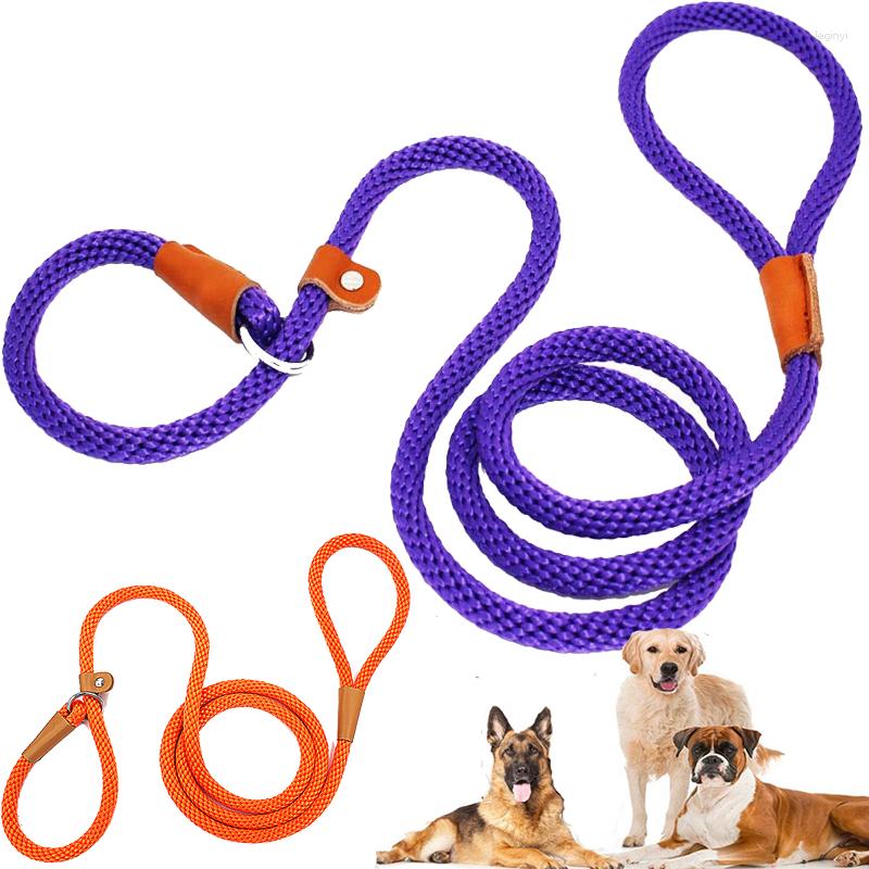 Colliers pour chiens Collier Nylon Slip Lead Laisses d'entraînement Heavy Duty Réglable Pet Loop Laisse Pour Petit Moyen Grand