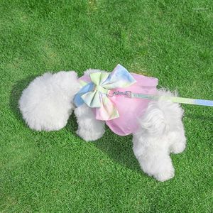 Hondenkraagkraagrok schattig huisdierenharnas met borstband tractie touw kattenkleding vest prinses jurk