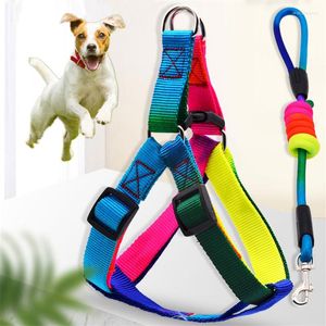 Collares para perros Cuerda de correa colorida para perros pequeños y grandes Mascota Cachorro Pitbull Arnés Collar Producto de plomo para gatos