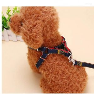 Collares para perros, arnés con cuello para gato vaquero, cuerda de transporte, traje de tres piezas, accesorios universales para las cuatro estaciones, suministros para mascotas al aire libre