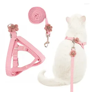 Halsbanden Leuke kattenharnas en riem Set Strik Verstelbare puppylijn Nylon Kitty Wandelen Trekkabel Huisdieraccessoires