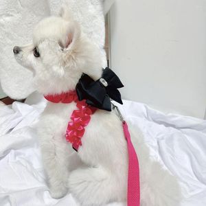 Colliers de chien mignon pour animaux de compagnie harnais de laisse coréen arc rose noir coréen pour petites fournitures moyennes chiot