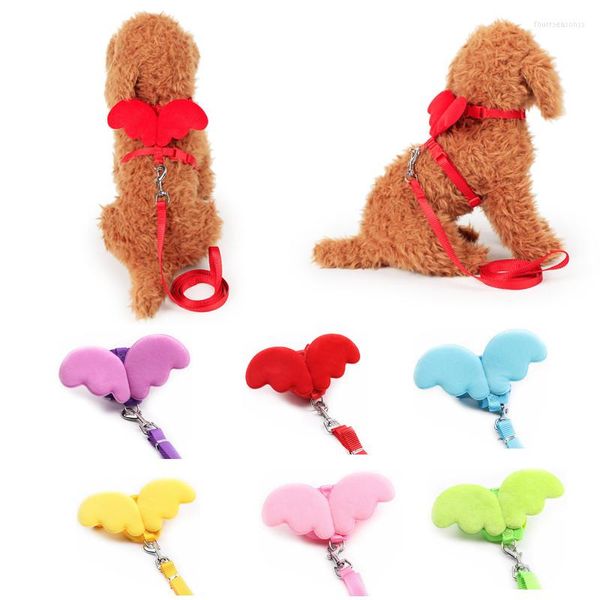 Collares para perros, arnés para gatos pequeños y bonitos, conjunto de correa, ala de Ángel, disfraz de cachorro, cuerda de plomo ajustable para caminar al aire libre