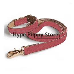 Colliers de chien collier de créateur pour petits et grands chiens Chihuahua et ensemble de laisse carlin produit Vip Drop LC0291