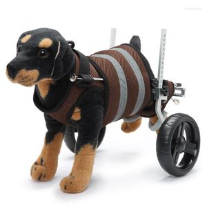 Hondenkragen gehandicapten Pet Rehabilitation Walking Aid Car Harness Lease Set voor Cat Two Wheeled Scooter LC0289