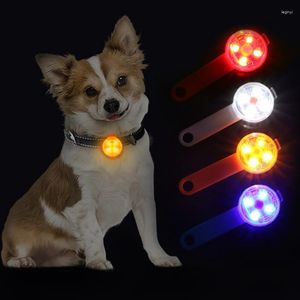 Collares para perros, colgante antipérdida para perros, luz LED intermitente de seguridad a prueba de agua, luz nocturna recargable por USB para mascotas