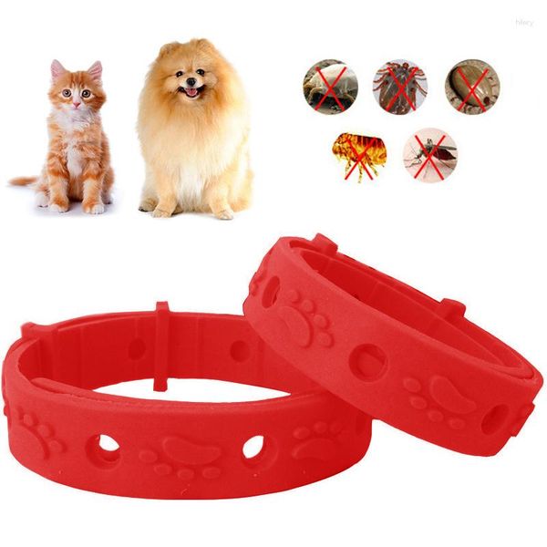 Collares para perros Collar para perros Tamaños ajustables pequeños Material de protección del medio ambiente Eliminación efectiva linda de pulgas Piojos Ácaros