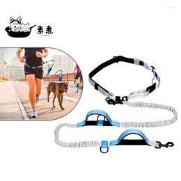 Colliers pour chiens Chiens Laisse Courir Jogging Ceinture rembourrée Bande réfléchissante Harnais élastique Collier Laisse Marche Formation