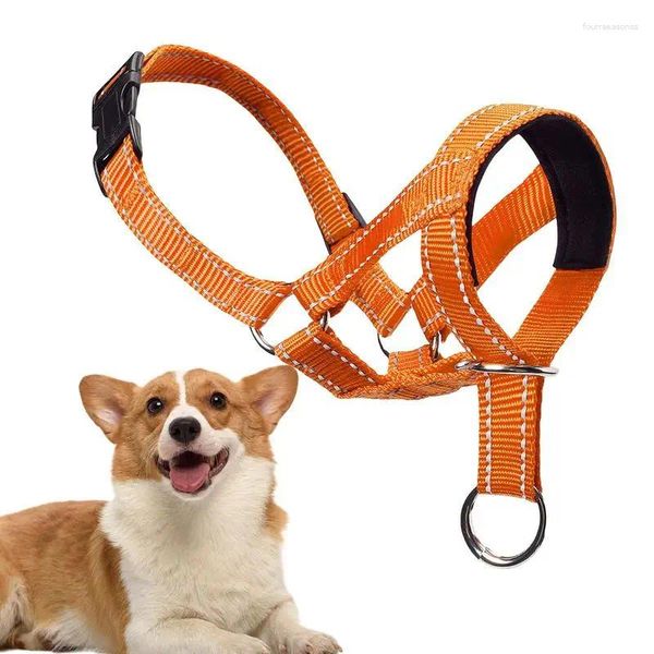 Colliers de chien chiens buccaux laisse randonnée harnais de tête de chiot réglable sur les accessoires de formation pour animaux de compagnie et chiots à la maison