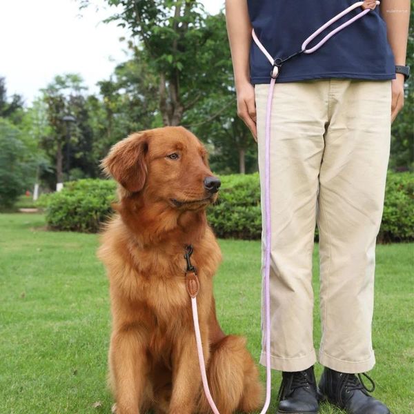 Colliers de chien à Double tête, laisses réfléchissantes de Traction pour animaux de compagnie, moyen et grand chiot, collier Durable, corde de plomb pour chat, grand et petit harnais