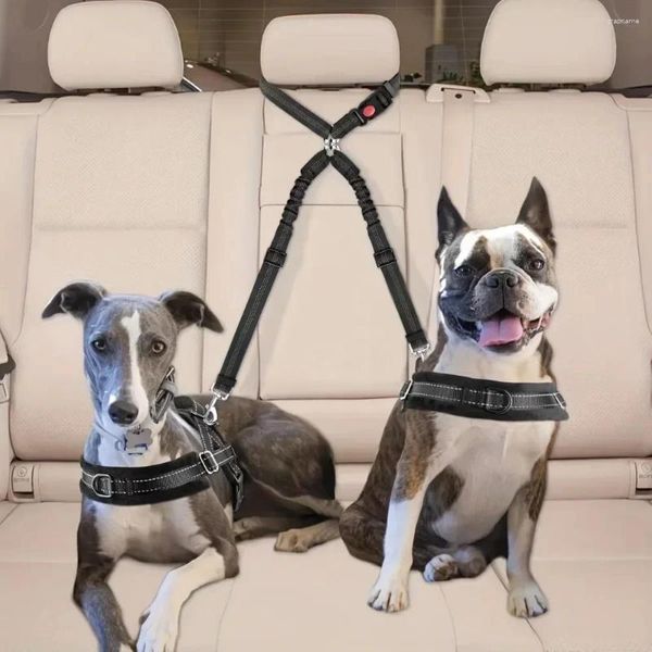 Colliers de chien double ceinture de sécurité pour animaux de compagnie de répression