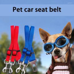 Colliers de chien Double ceinture de sécurité durable pour animaux de compagnie de sécurité