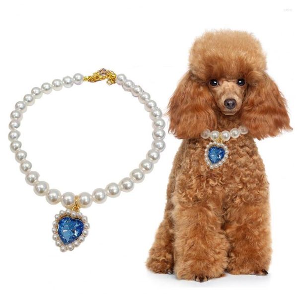 Colliers pour chiens habiller chat léger petit chiot tour de cou bijoux fournitures pour animaux de compagnie